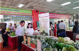 Hà Nội nâng tầm sản phẩm OCOP có khả năng cạnh tranh