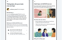 Bảo vệ thanh thiếu niên trước các nội dung độc hại trên mạng