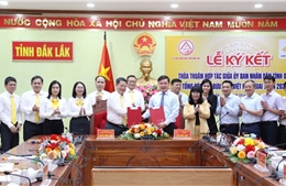 Đắk Lắk hợp tác thúc đẩy chuyển đổi số, thương mại điện tử