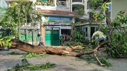 Bộ trưởng chia buồn với gia đình học sinh bị vụ tai nạn đổ cây tại trường THCS Bạch Đằng
