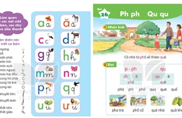Tranh luận về việc không dạy âm ‘P’ trong sách giáo khoa Tiếng Việt