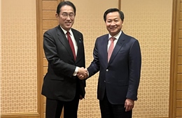 Phó Thủ tướng Chính phủ Lê Minh Khái gặp Thủ tướng Nhật bản Kishida Fumio 