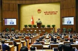 Sửa đổi Hiến pháp năm 2013 mở đường cho bộ máy hoạt động hiệu lực, hiệu quả