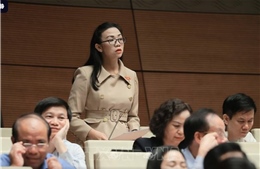 Đại biểu Quốc hội đánh giá cao các nội dung chương trình đợt 1, Kỳ họp thứ 9