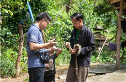 Những người làm báo thông tấn trên mặt trận thông tin 