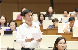 Đại biểu chất vấn ngân sách chi cho đại học giảm trong 10 năm qua