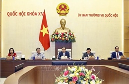 Cần kết nối thông tin đăng ký lao động với các dữ liệu khác
