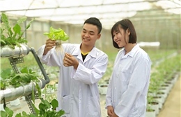 Gỡ ‘điểm nghẽn’ Nghị quyết 57 - Bài 2: Sẵn sàng nguồn nhân lực cao