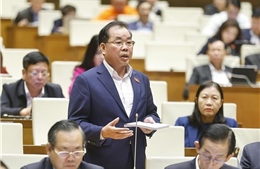 Sáp nhập đại học không thể cơ học, đề xuất bỏ đại học vùng 