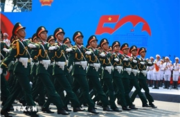 Điều kiện cần với thí sinh đăng ký dự thi các trường quân đội