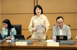 Đại biểu Quốc hội đề xuất giải pháp chăm sóc, bảo vệ trẻ em 