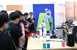 Từ bài tập về phát triển bền vững đến công bố khoa học quốc tế