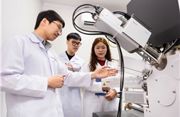 Xây dựng năng lực khoa học ở trường đại học Việt Nam
