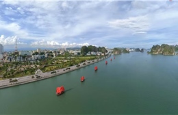 CÁNH BUỒM ĐỎ