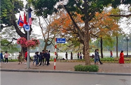 Hãng tin AFP: Cơ hội lớn thu hút khách du lịch tới Việt Nam