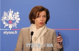 Bộ trưởng Quốc phòng Pháp: EU quan ngại về cam kết dài hạn của Mỹ đối với NATO