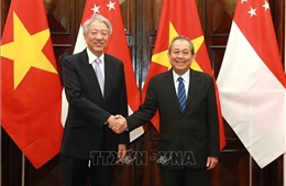 Thúc đẩy quan hệ đối tác chiến lược Việt Nam – Singapore