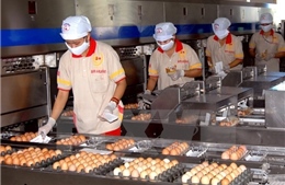 Lần đầu tiên Việt Nam có trứng gà tươi ăn liền 