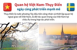 Quan hệ Việt Nam-Thụy Điển ngày càng phát triển mạnh mẽ