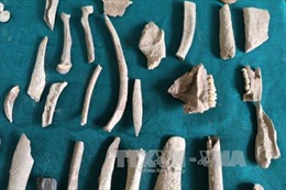 Phát hiện di vật thời tiền sử ở Ba Bể, Bắc Kạn