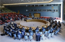 Việt Nam với Hội đồng Bảo an Liên hợp quốc: Bạn bè quốc tế tin tưởng và ủng hộ Việt Nam