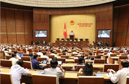 Thảo luận dự kiến Chương trình giám sát của Quốc hội năm 2020