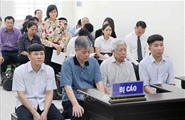 Nguyên Chủ tịch Hội đồng thành viên Vinashin Nguyễn Ngọc Sự bị đề nghị mức án từ 18-20 năm tù