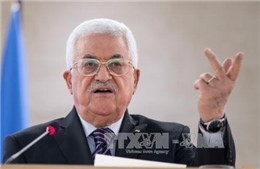 Tổng thống Palestine khẳng định sẵn sàng tổ chức tổng tuyển cử