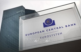 ECB mở đường cho khả năng cắt giảm lãi suất