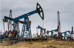 Giá dầu châu Á lấy lại đà tăng