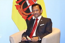 Brunei đón mừng sinh nhật Quốc vương Bolkiah