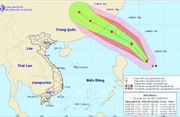 Các tỉnh, thành phố ven biển từ Quảng Ninh đến Bình Định ứng phó với bão Bailu