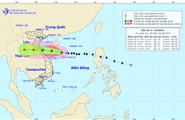 Thành lập hai đoàn chỉ đạo ứng phó với bão số 4 từ Nghệ An đến Quảng Bình