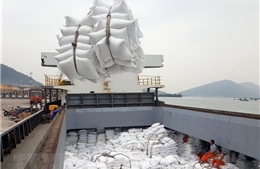 Giá gạo Việt Nam đi xuống do nhu cầu từ Trung Quốc giảm mạnh