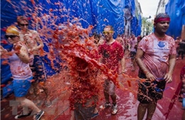 Tưng bừng lễ hội ném cà chua ở Tây Ban Nha