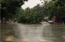 Dự báo tiếp tục có mưa to từ Nghệ An đến Quảng Trị