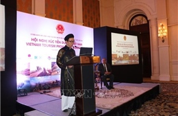 Việt Nam và Ấn Độ thúc đẩy hợp tác du lịch