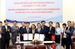 Việt Nam - Hàn Quốc hợp tác toàn diện trong lĩnh vực lao động, việc làm