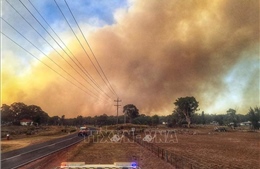 Cảnh báo cháy rừng tại Australia có thể kéo dài nhiều tuần