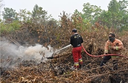 Khói phủ đen trời vì cháy rừng, Indonesia đóng cửa nhiều trường học, sân bay