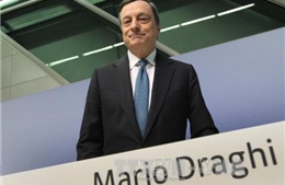 Chủ tịch ECB kêu gọi thành lập ngân sách chung của Eurozone