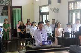 Cục Thi hành án dân sự tỉnh Bình Định kháng cáo vụ án bị buộc bồi thường hơn 55 tỉ đồng
