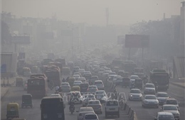 New Delhi tìm cách xua tan màn khói độc bao phủ thành phố 