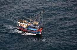 Cà Mau: Xử lý nghiêm vi phạm quy định khai thác thủy sản trên biển