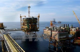 Giá dầu tăng sau cam kết của tân Bộ trưởng Năng lượng Saudi Arabia