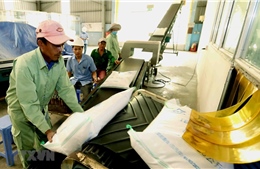 Nhu cầu yếu đẩy giá gạo Việt Nam xuống mức thấp của 12 năm