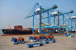 Xuất khẩu của Trung Quốc bất ngờ sụt giảm trong tháng 8