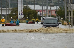 Nhật Bản sẽ trích quỹ 6,5 triệu USD để khắc phục hậu quả của bão Hagibis