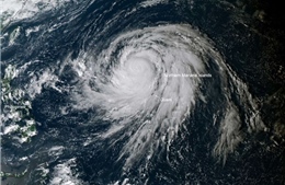 Nhật Bản đặt cảnh báo cao nhất trước cơn bão Hagibis