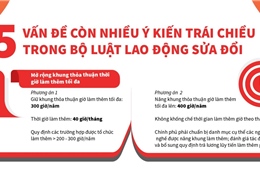 5 vấn đề còn nhiều ý kiến trái chiều trong Bộ Luật Lao động sửa đổi